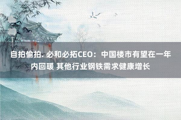 自拍偷拍. 必和必拓CEO：中国楼市有望在一年内回暖 其他行业钢铁需求健康增长