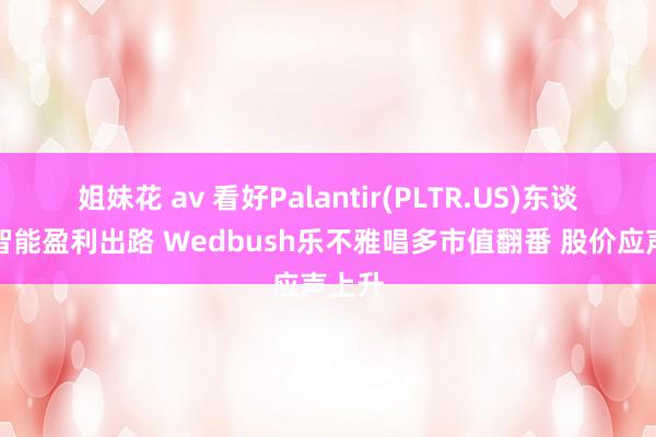 姐妹花 av 看好Palantir(PLTR.US)东谈主工智能盈利出路 Wedbush乐不雅唱多市值翻番 股价应声上升