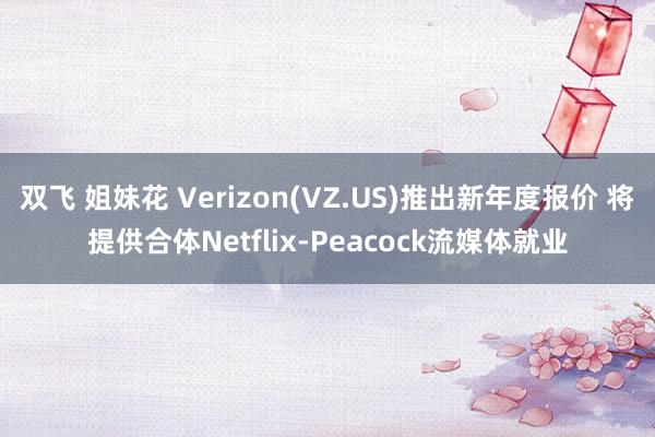 双飞 姐妹花 Verizon(VZ.US)推出新年度报价 将提供合体Netflix-Peacock流媒体就业