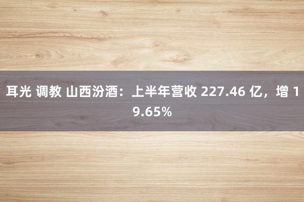 耳光 调教 山西汾酒：上半年营收 227.46 亿，增 19.65%