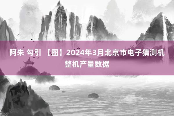 阿朱 勾引 【图】2024年3月北京市电子猜测机整机产量数据